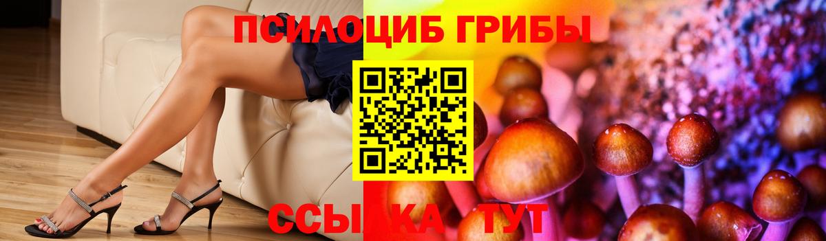 Владимир  Псилоцибиновые грибы Psilocybine cubensis  Вход с VPN 